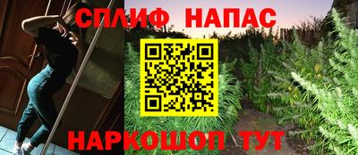 ECSTASY Краснодар