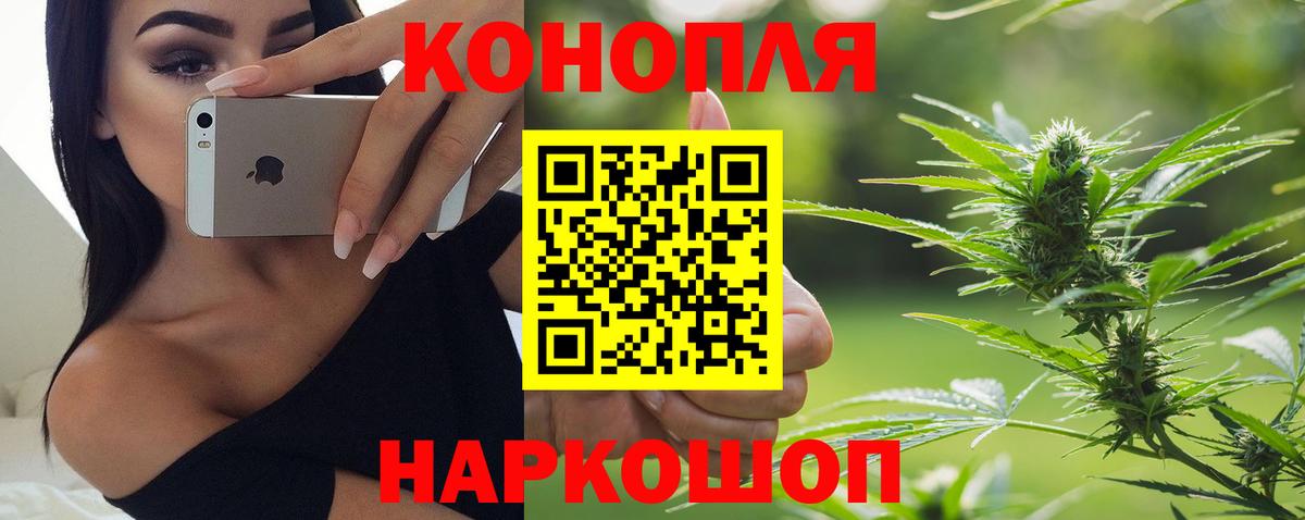 Каннабис Bruce Banner  Вход с VPN  Кировск  Марихуана планчик  Канабис гибрид  Шишки марихуана VHQ 